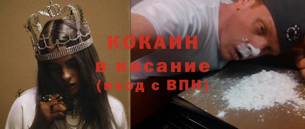 индика Арсеньев