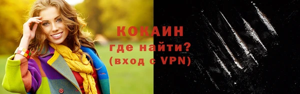 индика Арсеньев