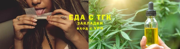индика Арсеньев