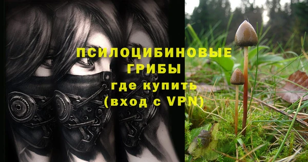 эйфоретик Аркадак