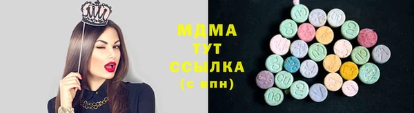 индика Арсеньев