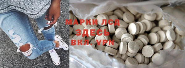 индика Арсеньев
