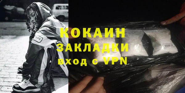 индика Арсеньев