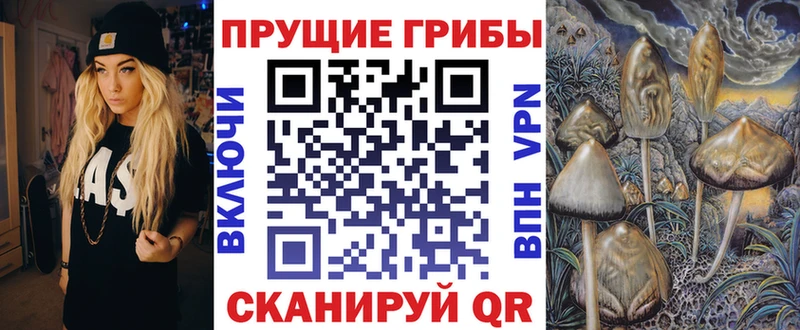 Псилоцибиновые грибы Psilocybe  продажа наркотиков  Похвистнево 